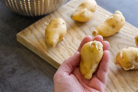 Peut on manger des pommes de terre germées Risques et conseils