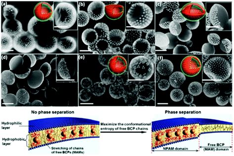 Colloidal Capsules Nano And Microcapsules With Colloidal Particle