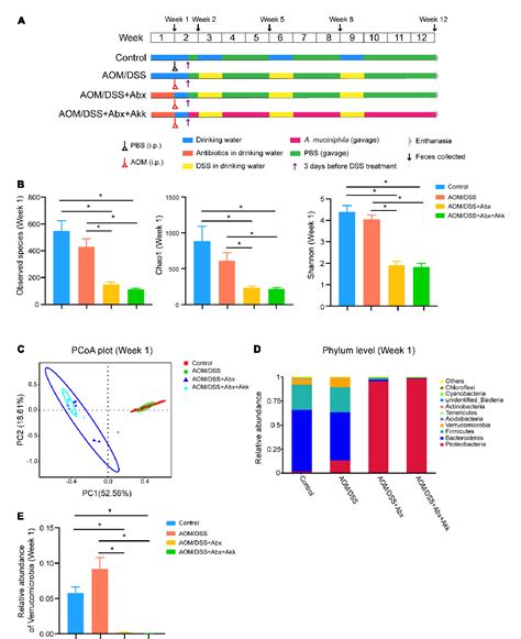 Figure From The Negative Effect Of Akkermansia Muciniphila Mediated