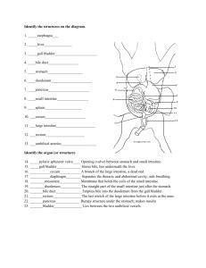 Fetal Pig Dissection Worksheet