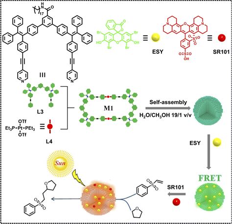 Self Assembled Supramolecular Artificial Light Harvesting Nanosystems