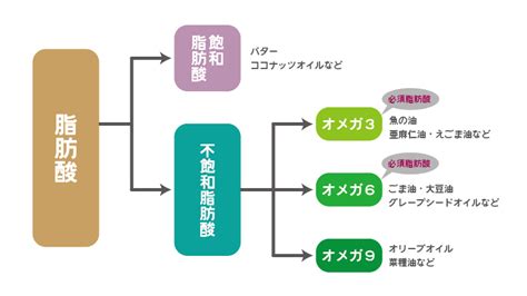 脂肪酸とは？簡単に分かりやすく説明｜脂質や脂肪との違いも Food For Well Being かわしま屋