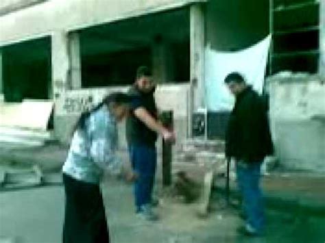Tigani din Italia - YouTube