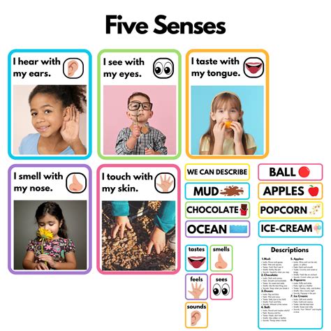 Five Senses Cards — Preschool Vibes