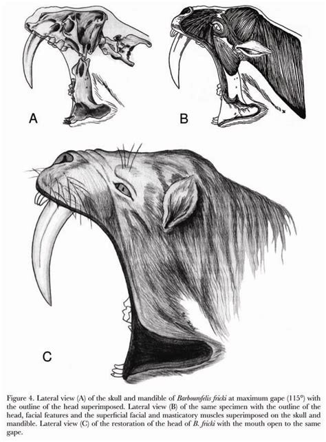 Extinct animals, Mammals, Prehistoric