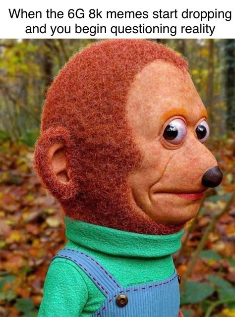 Fuck This Monkey Fuck It R Oddlyterrifying