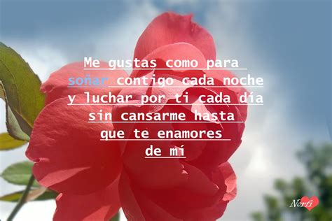 Top 30 imagen imágenes de amor para whatsapp con frases Abzlocal mx