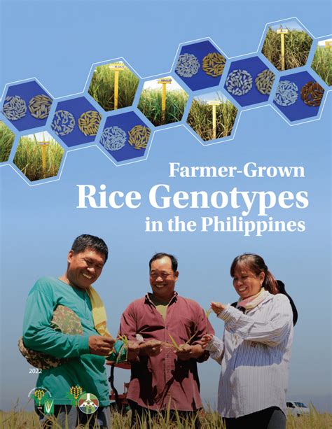 PDF Agro Morphological Characters Of Farmer Grown Rice Genotypes