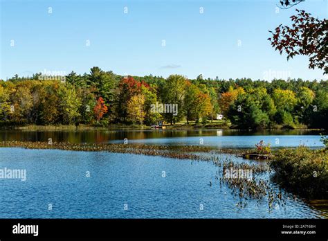 October Fall Colors in Muskoka lakes Stock Photo - Alamy