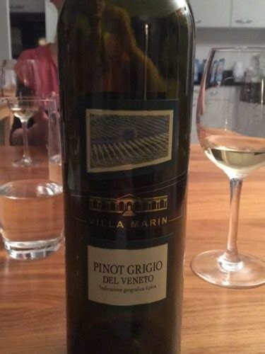 Marin Pinot Grigio Del Veneto Vivino US