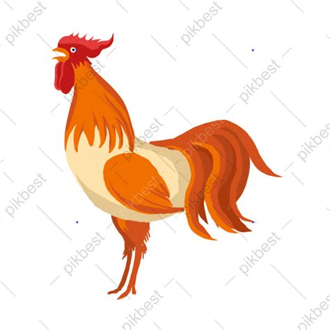 Big rooster cartoon transparent | PSD PNG Images Free Download - Pikbest