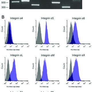 Mrna Expression Of Integrin Subunits And Their Cell Surface Expression