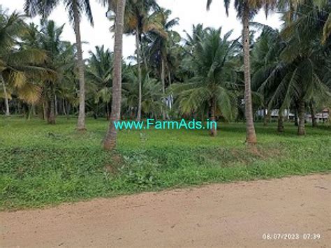 Acre Beautiful Coconut Farm For Sale Near Mysore Mysore Farmads In