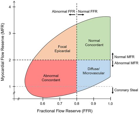 Relationship Between Myocardial Flow Reserve Mfr And Fractional Flow