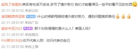 胡錫進將群體抗議甩鍋境外勢力 被網友猛烈炮轟