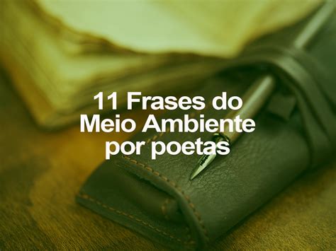 11 Frases do Meio Ambiente por Filósofos o eco