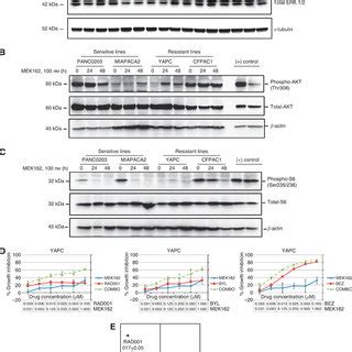 The Effect Of Mek On The Mapk And Pi K Pathways In Human Pancreatic