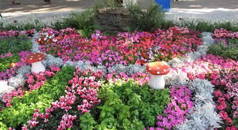 gardenworld   garden show garden world