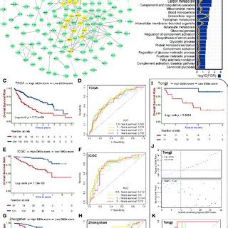 Validation Of The Hypoxia Degs Score Survival Prediction Value A