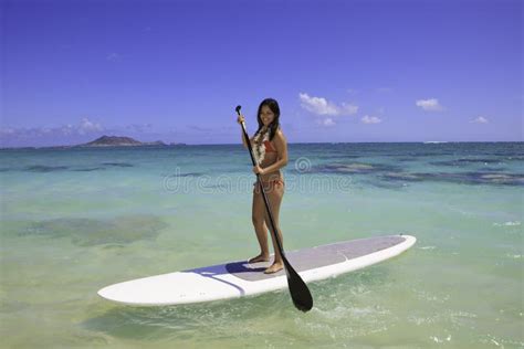 Woman Stand Up Paddle Board Stock Image Image Of Hawaii Bikini