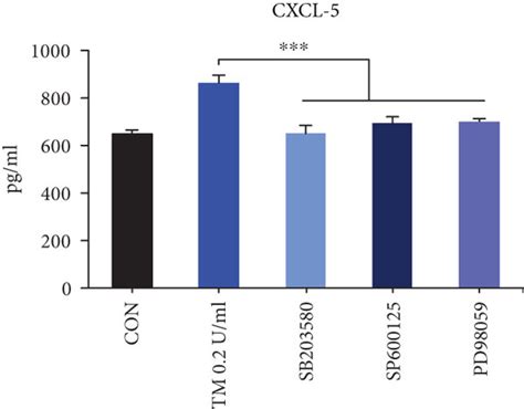 Effect of cell signaling inhibitors including selective P38 MAPK ... 