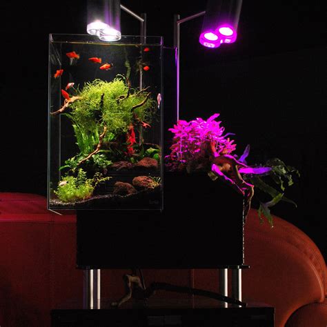 Brio35 Aquaponics System Black Aquaponics System Aquaponics