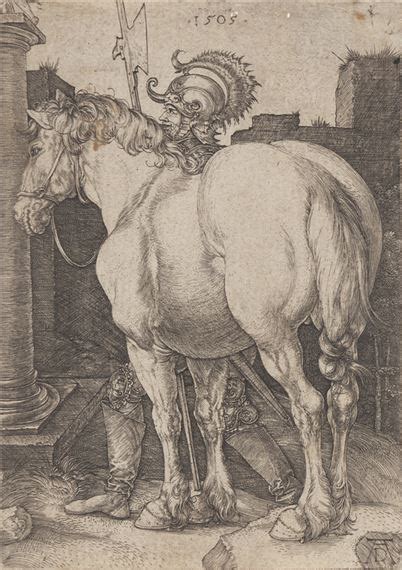 Albrecht D Rer Il Grande Cavallo Mutualart