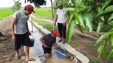 Cerita Suasana Desa Masak Udang Kuah Pedas Hasil Ngebolang Youtube