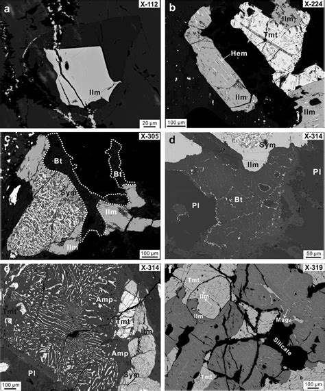 BSE Images Of Ilmenite Grains Hosting Different Types Of Exsolution