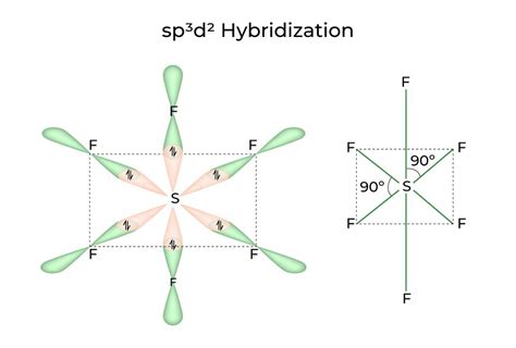 Hybridization - Definition, Types, Rules, Examples - GeeksforGeeks