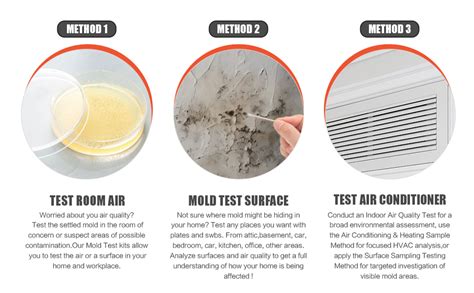 Mold Test Kit For Home Air Quality Test 10 Locations DIY Home Mold