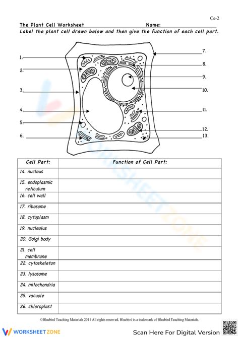 Free Cell Worksheet For High School Download Free Cell Worksheet For High School Png Images