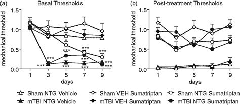 The Development Of A Mouse Model Of MTBI Induced Post Traumatic