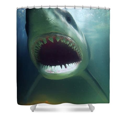 Great White Shark Shower Curtain By Pm Images This Shower Curtain Is