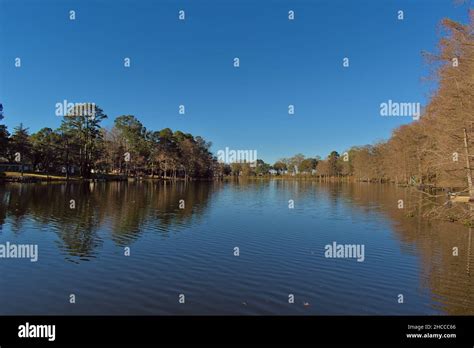 Bayou Scenery Hi Res Stock Photography And Images Alamy
