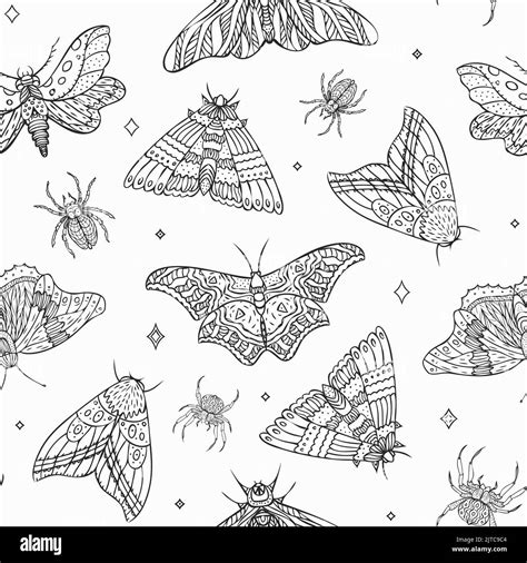 Patrón Sin Costuras De Mariposas Y Arañas De La Noche Del Vector Ilustración Vectorial Imagen