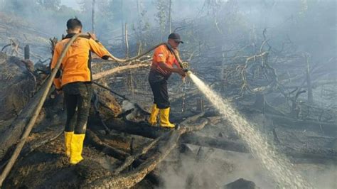 Ipb Kini Punya Fire Simulator Pertama Di Asia Tenggara Latih Pemadaman