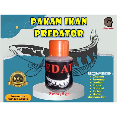 Jual Pakan Pelet Ikan Predator Terbaik Pakan Ikan Predator Berkualitas