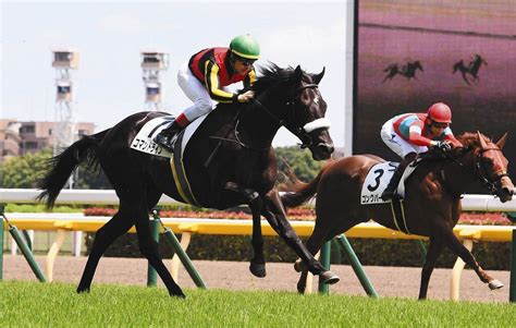 ディープインパクト産駒のコマンドラインが完勝一番星 「来年のダービー馬だよ」勝利確信していた国枝調教師も合格点：中日スポーツ・東京中日スポーツ