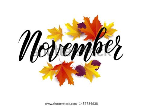 November Hand Lettering Text On Realistic Stock Vector (Royalty Free ...