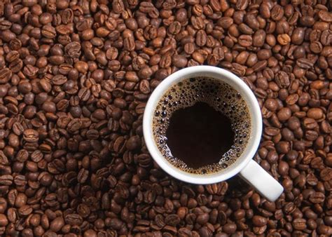 7 Best German Coffee Brands You Can Buy In America The Golden Lamb