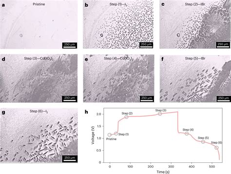 Researchers Develop High Energy Density Aqueous Battery Based On