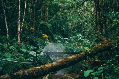 Post - Everyday Travel Guides