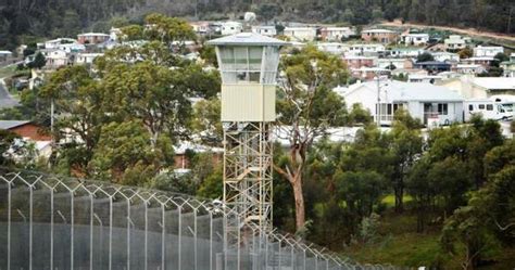 protester cops jail term  tasmania