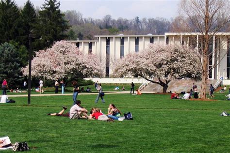 Unc Asheville Unca Admissions Facts