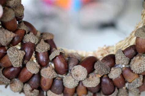 DIY Acorn Wreath - The Girl Creative