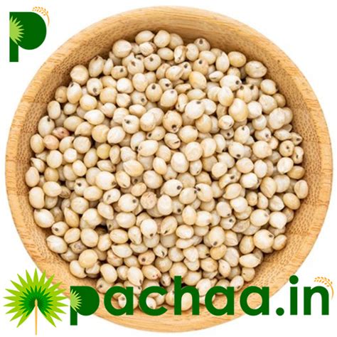 buy white country cholam corn gms   chennai