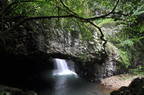 Costa Dorada Excursi N Al Puente Natural Y Las Cascadas De Springbrook