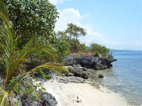 Resort Property for sale in Alcoy - 459664 - Photo #9 | Piliko.com