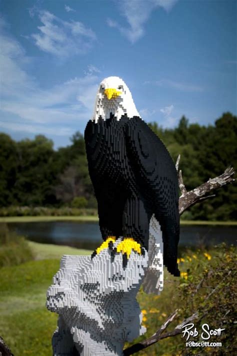 Lego Bald Eagle Rob Scott Llc Photography